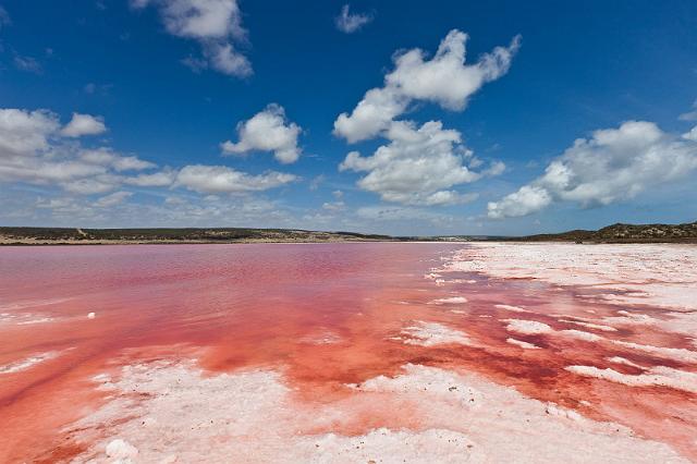 033 Port Gregory, pink lake.jpg